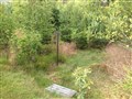 IMG_0364.JPG